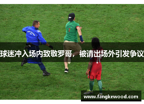 球迷冲入场内致敬罗哥,被请出场外引发争议